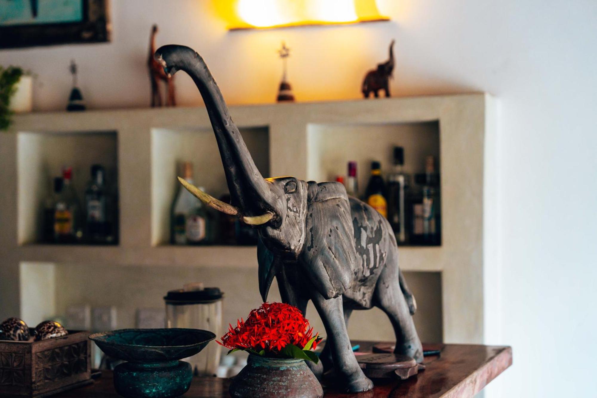 Hekaya Zanzibar Otel Pingwe Dış mekan fotoğraf